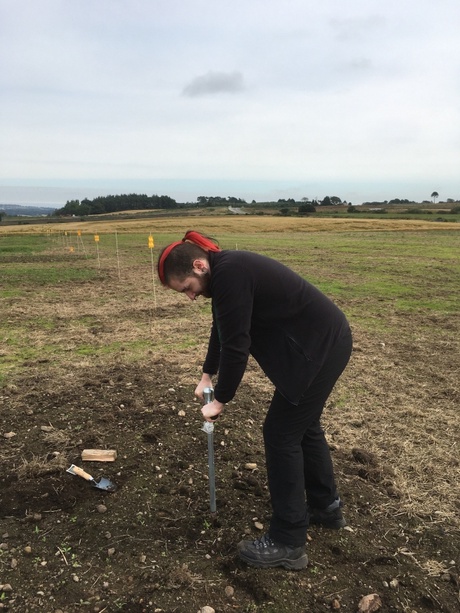 Taking a bulk sample with an auger, which takes a thin tube of soil out of the ground with minimal compaction.