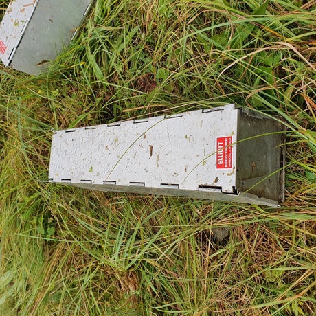 An Elloit trap, used to capture water vole