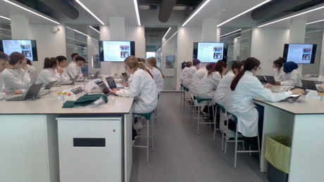 Students in the Science Teaching Hub