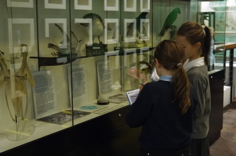 Children Studying in the Zoology Museum