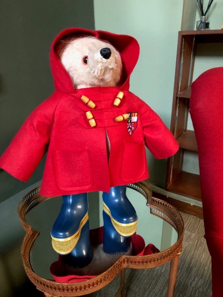 Paddington at the University of Aberdeen