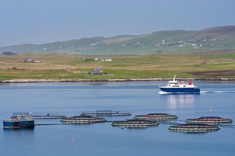 View of a fish farm.