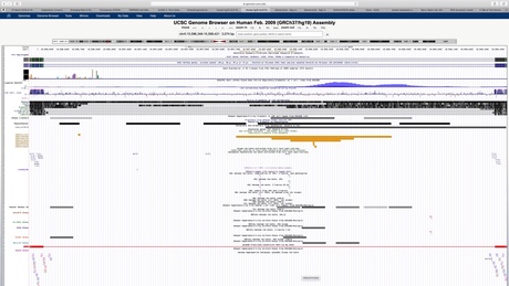 UCSC Genome Browser