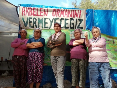 Five female activists stand in front of a protest sign written in Turkish.  Translated to English the sign reads "we will not give Akbelen Forest"