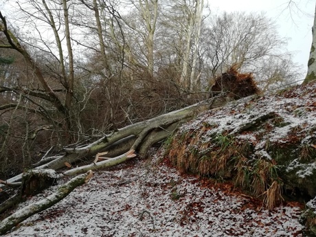 Storm damage at The Burn