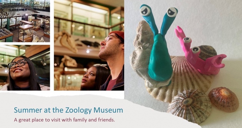 Visitors to the Zoology Museum