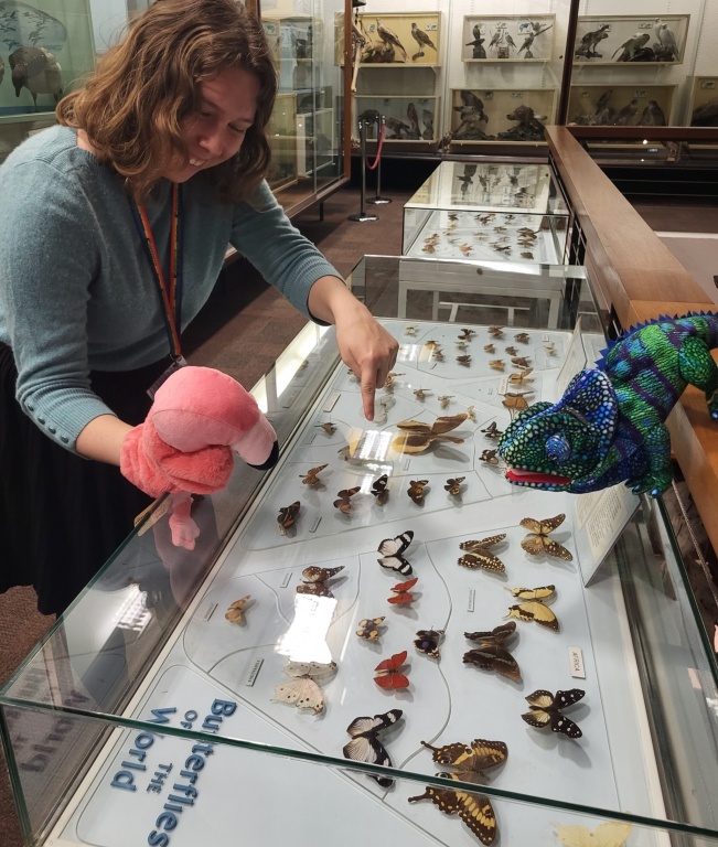 Doors Open Day at the Zoology Museum