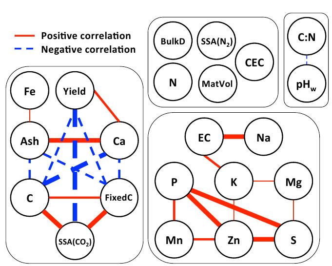 Biochar networks