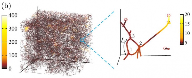 Soil network