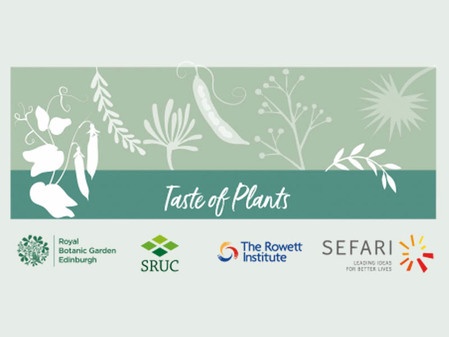 Taste of plants logo