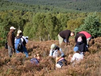 Students on Forestry field trip