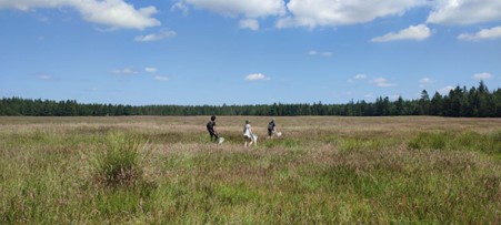 Group doing field research