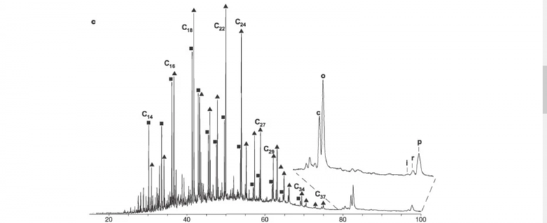 m/z 134 ion chromatogram. The i is the peak you are looking for, evidence (at the time, for first fossil occurence of isorenieratane)