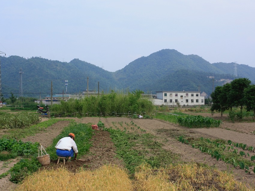 UK-China Critical Zone Observatory (CZO) Programme Annual Meeting 2018