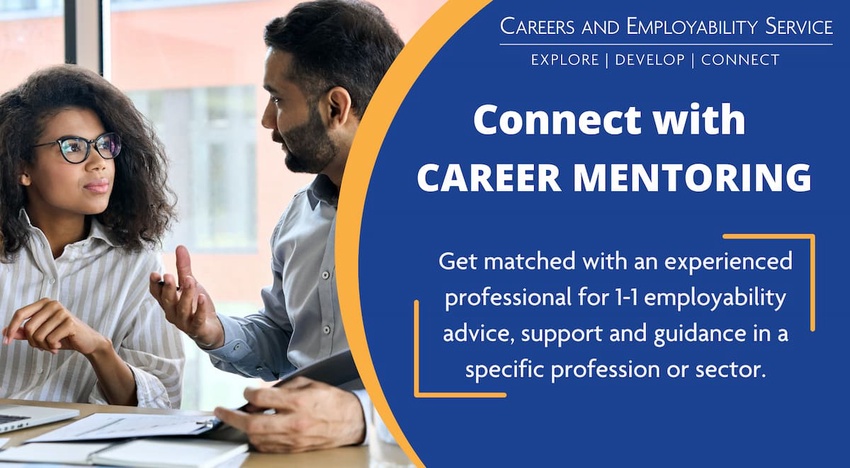 Career Mentoring Programme