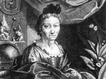 Maria Sibylla Merian