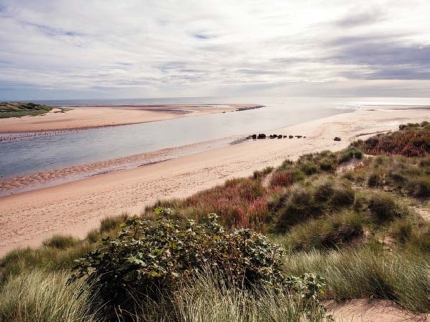 Beaches and Coastlines