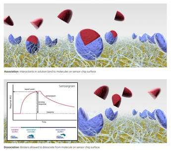 Surface Plasmon Resonance (SPR)