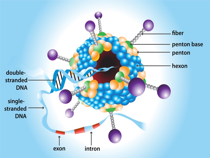 Diagrams for scientific publications