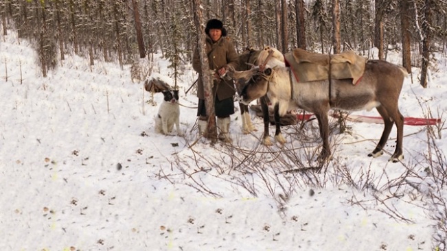 Marten Hunting near Surinda