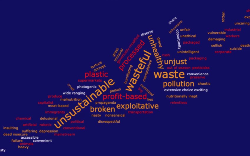 More than food, more than the environment. Exploring reasons to justify just food transitions beyond environmental impact