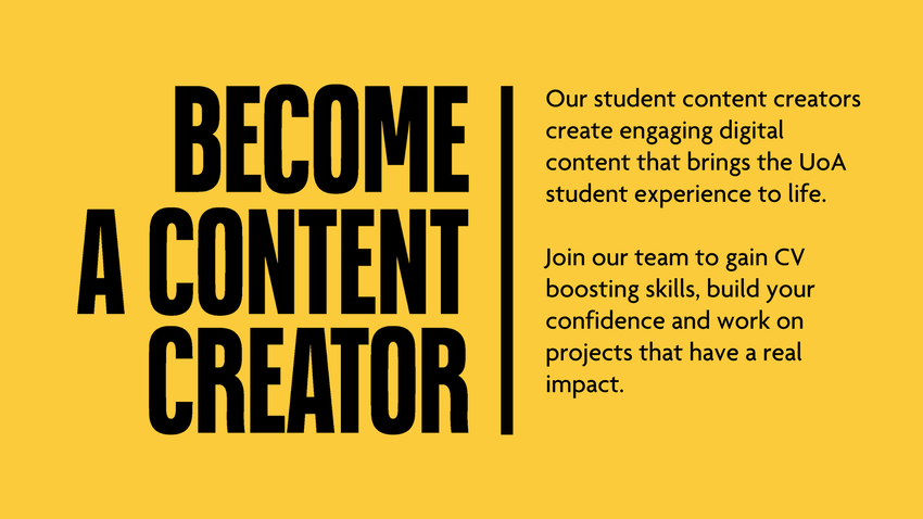 Become a Content Creator