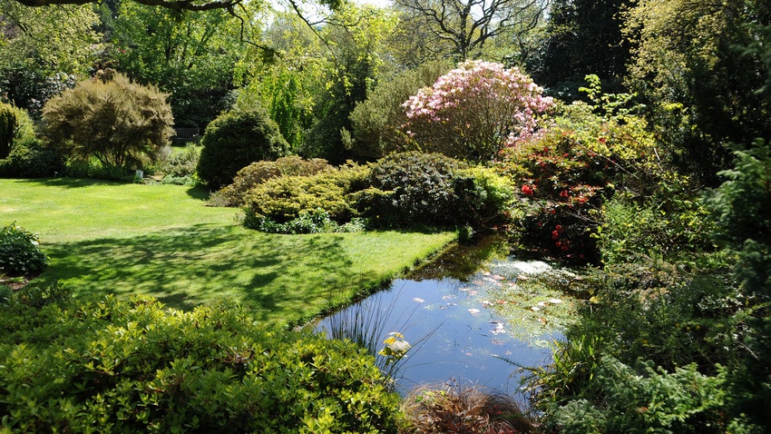 The Cruickshank Botanic Garden is open every day, including weekends. Click here for opening times.