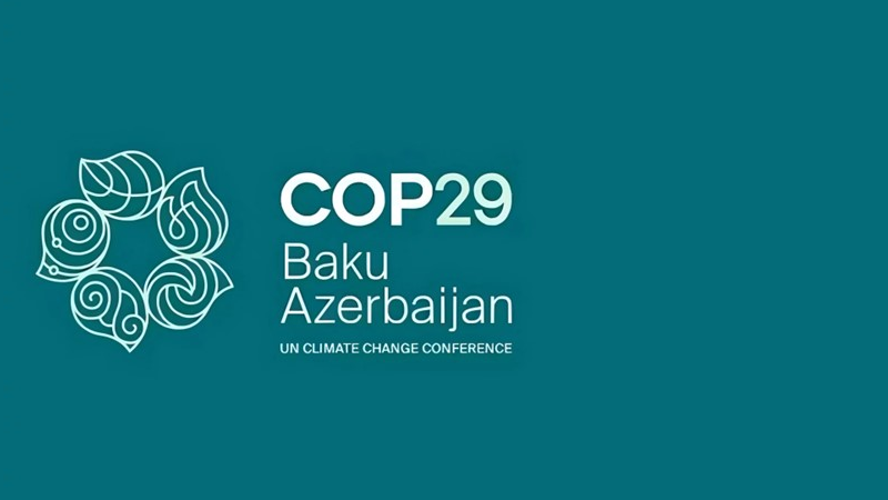 COP 29 - Call for delegates