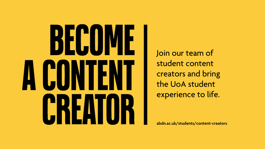 Become a Content Creator