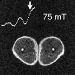 FC-IR image 75mT