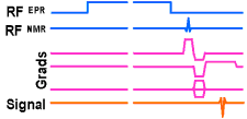 PEDRI pulse sequence