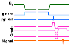 PEDRI pulse sequence