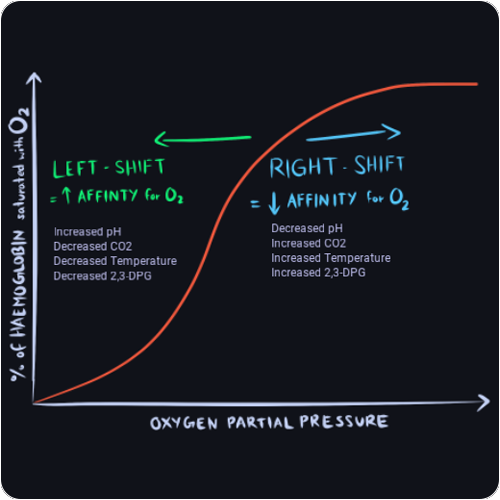 oxygen disassociation curve