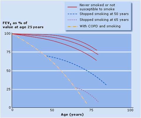 House cleaning linked to lung function decline