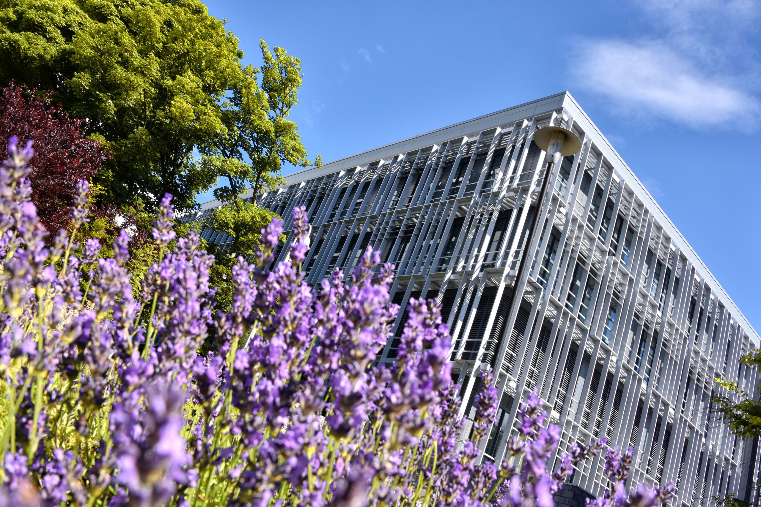 The Rowett Institute