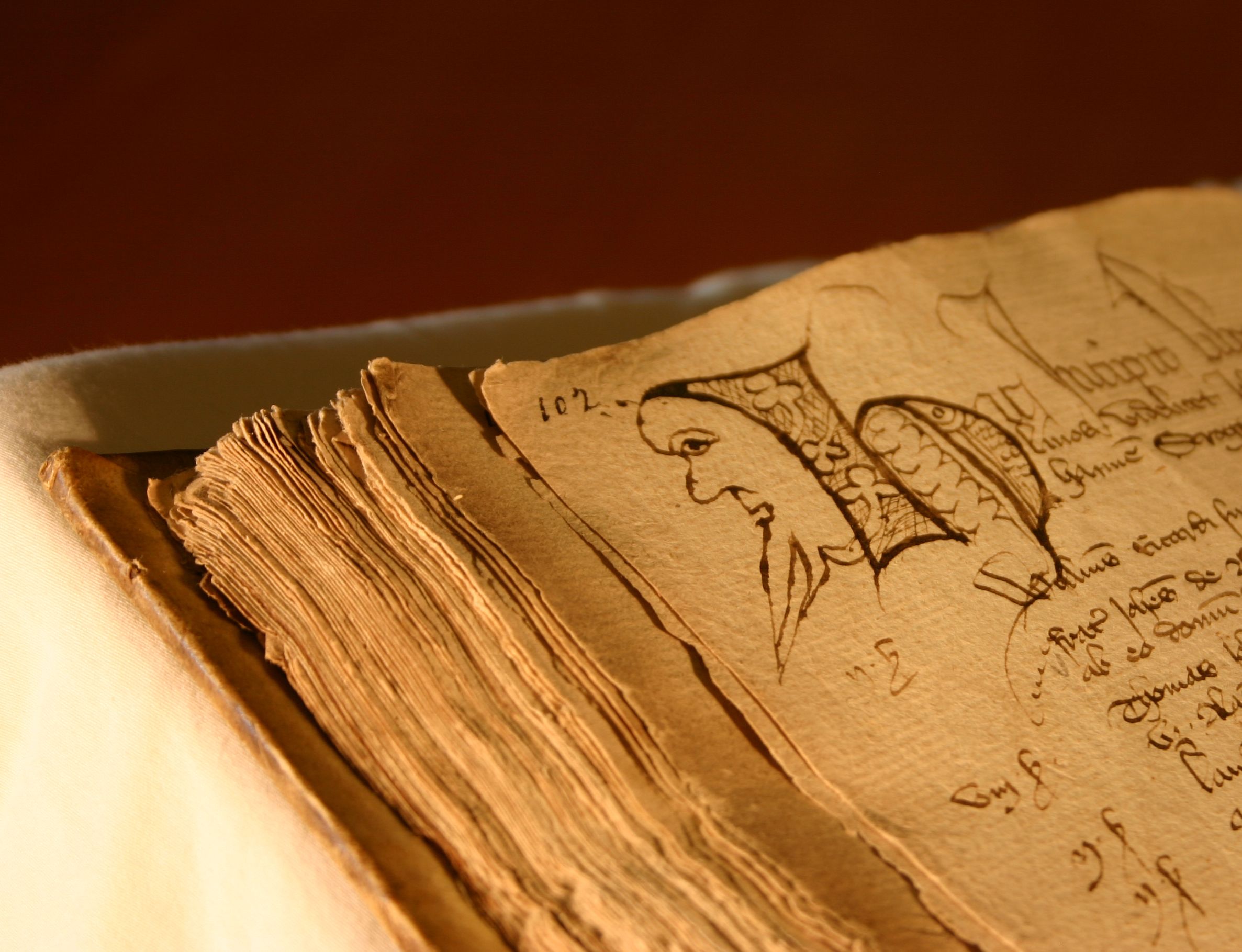 Close up of corner of pages